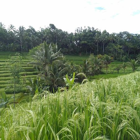 D'Ume Bendoel Homestay Jatiluwih Ngoại thất bức ảnh