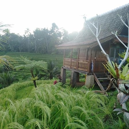 D'Ume Bendoel Homestay Jatiluwih Ngoại thất bức ảnh