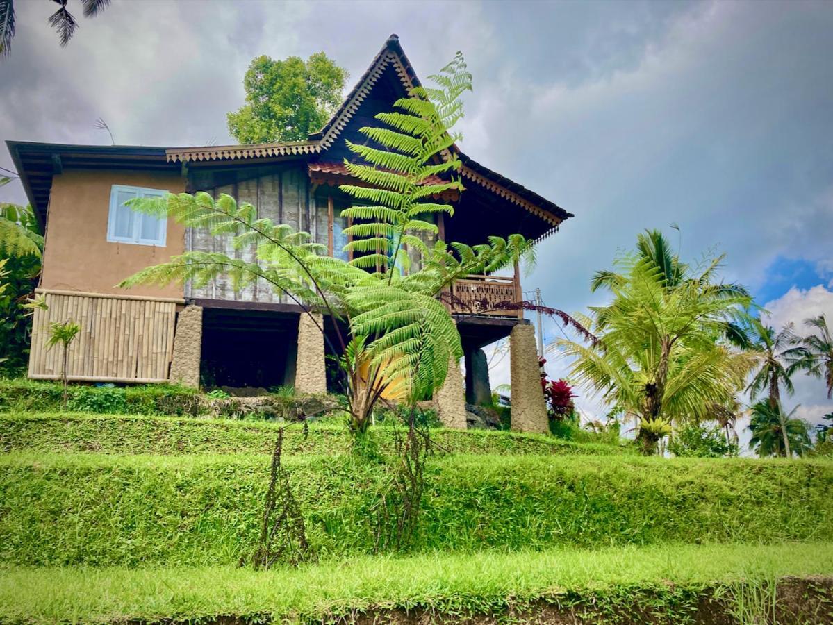 D'Ume Bendoel Homestay Jatiluwih Ngoại thất bức ảnh