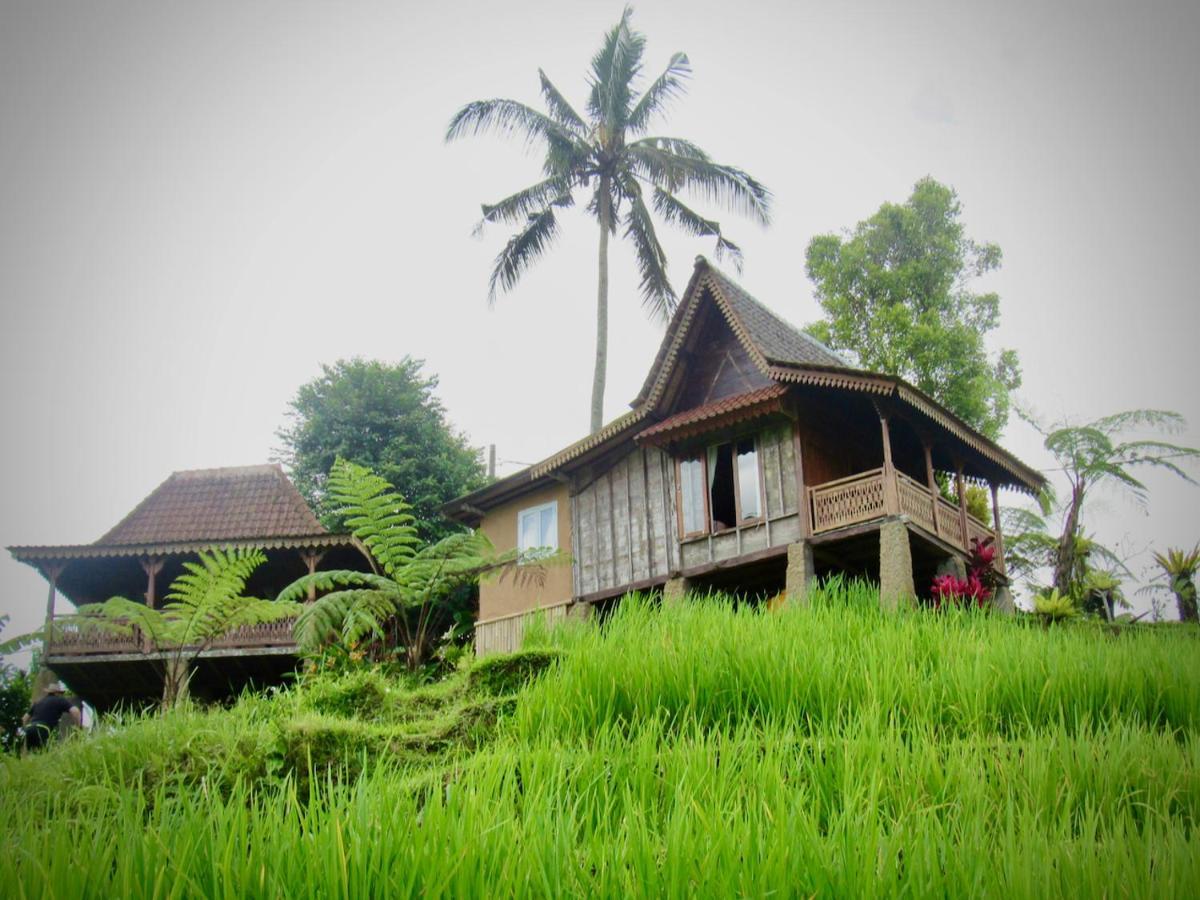 D'Ume Bendoel Homestay Jatiluwih Ngoại thất bức ảnh