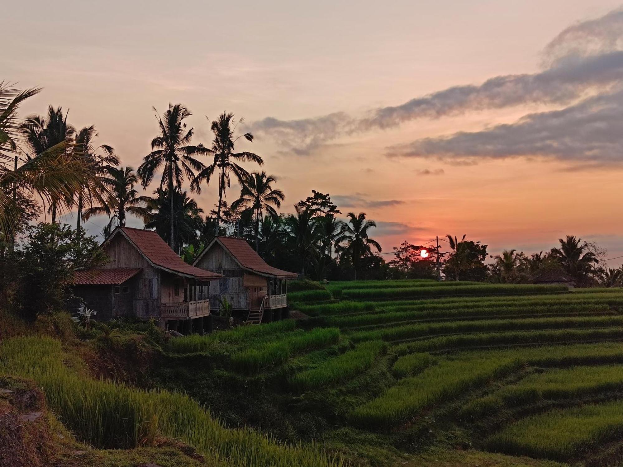 D'Ume Bendoel Homestay Jatiluwih Ngoại thất bức ảnh