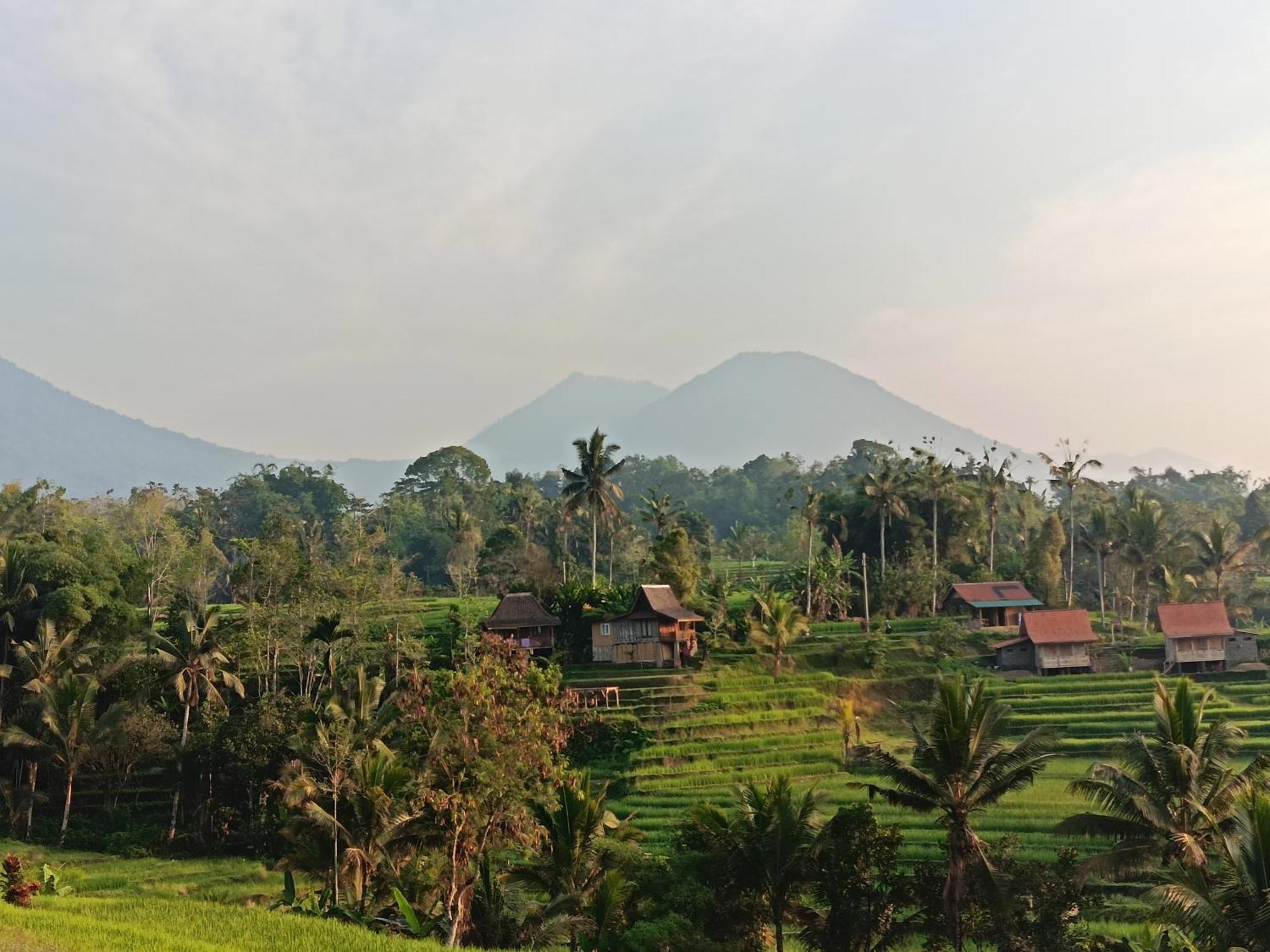 D'Ume Bendoel Homestay Jatiluwih Ngoại thất bức ảnh
