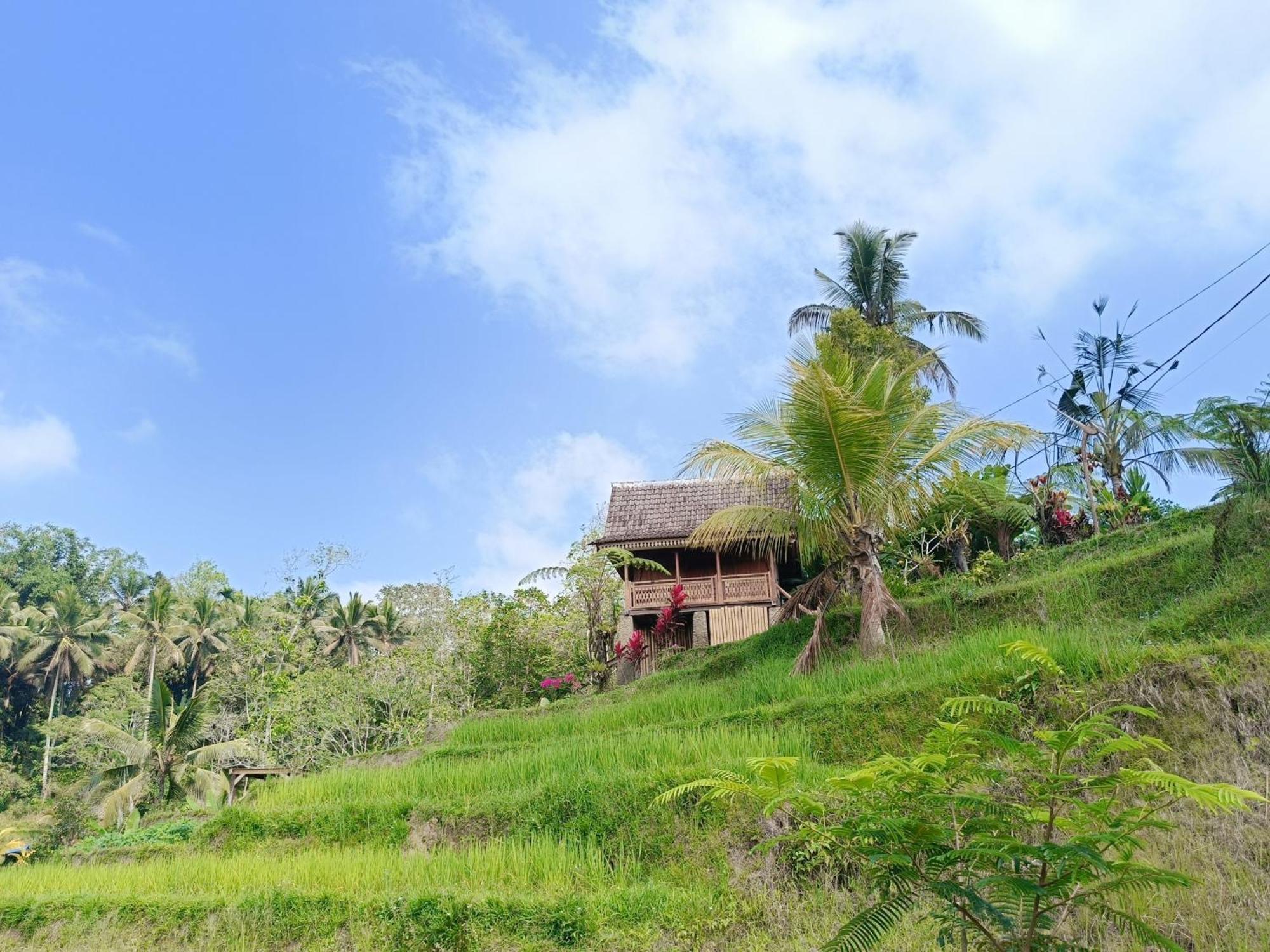 D'Ume Bendoel Homestay Jatiluwih Ngoại thất bức ảnh