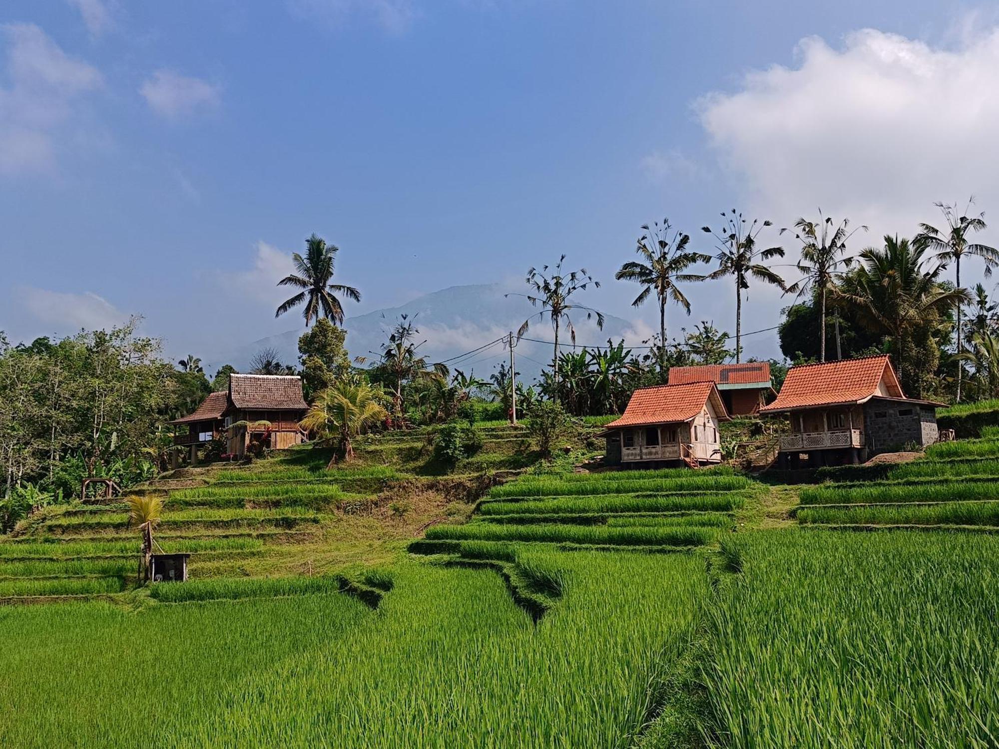 D'Ume Bendoel Homestay Jatiluwih Ngoại thất bức ảnh