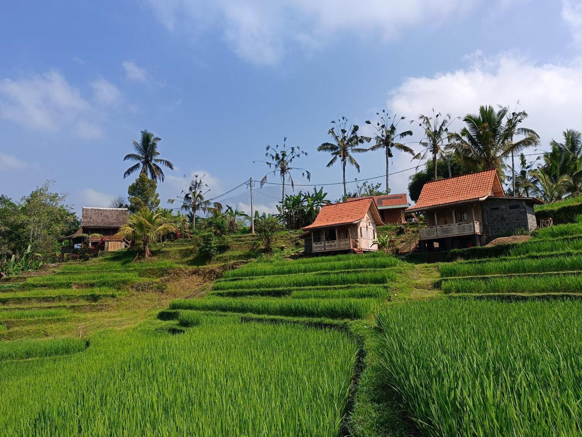 D'Ume Bendoel Homestay Jatiluwih Ngoại thất bức ảnh