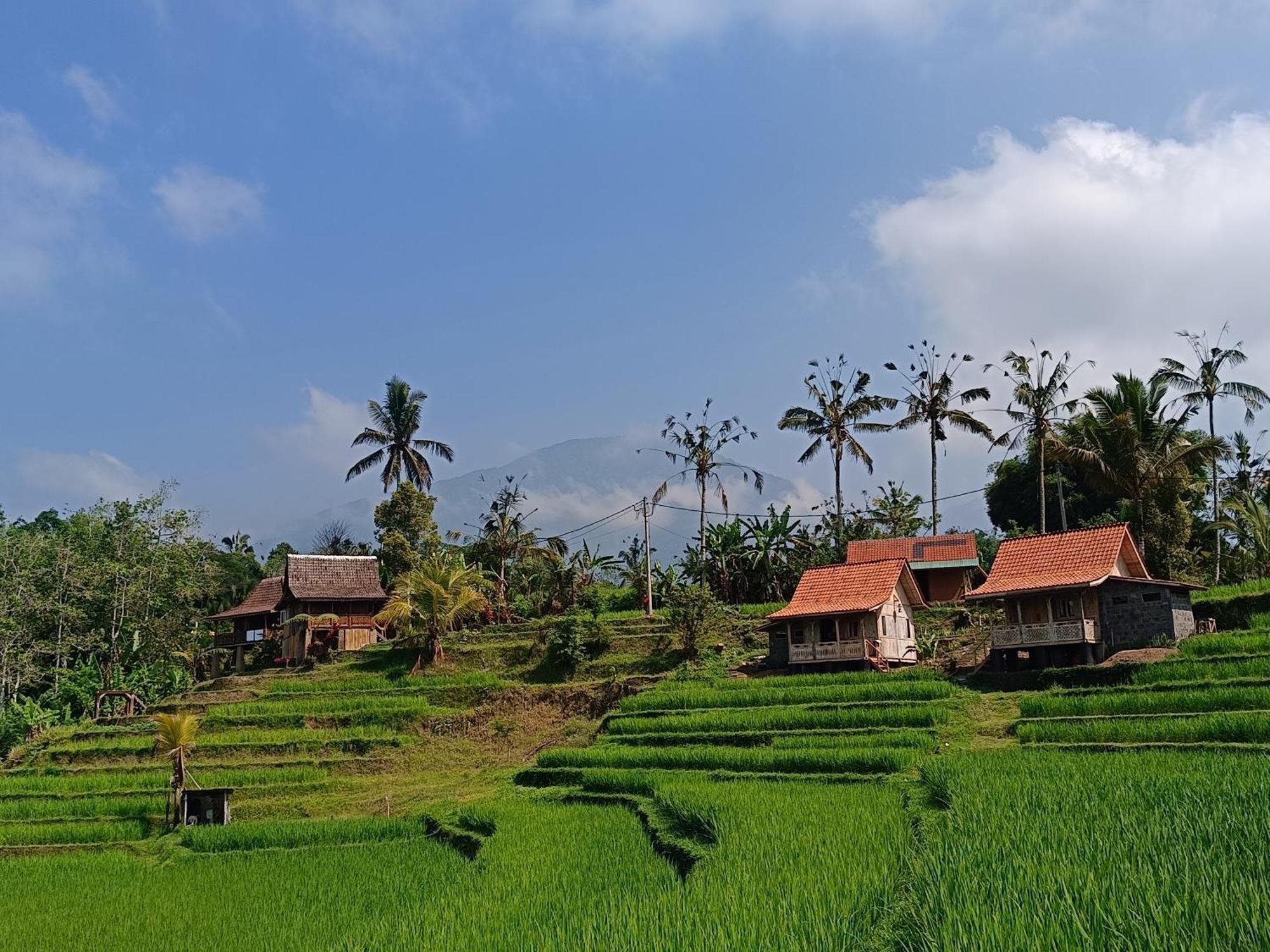 D'Ume Bendoel Homestay Jatiluwih Ngoại thất bức ảnh