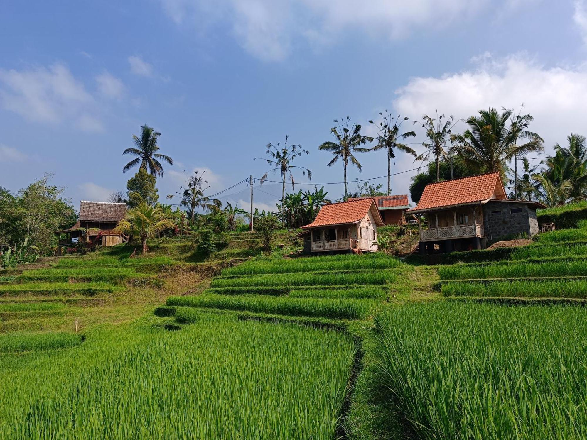 D'Ume Bendoel Homestay Jatiluwih Ngoại thất bức ảnh