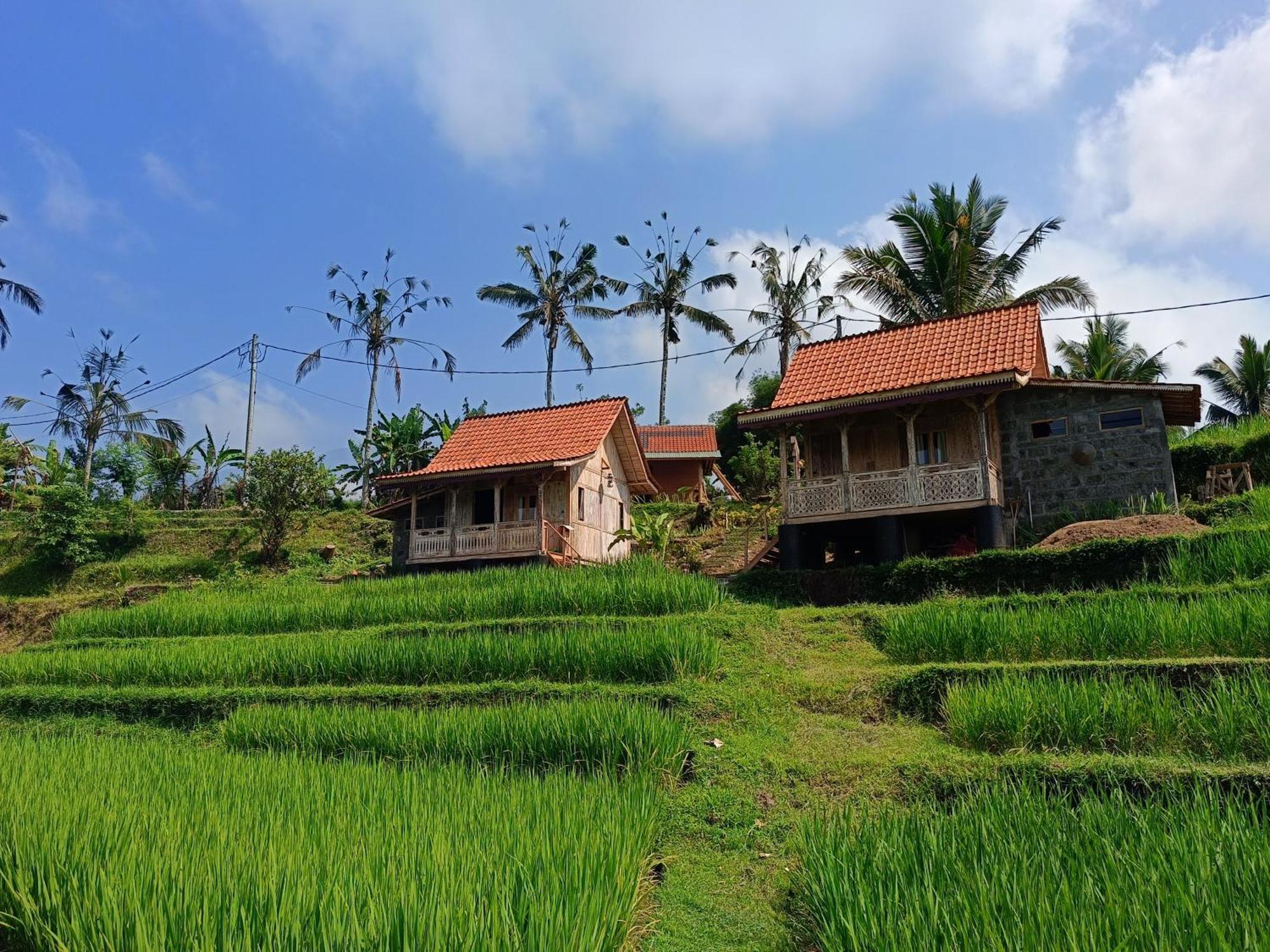 D'Ume Bendoel Homestay Jatiluwih Ngoại thất bức ảnh