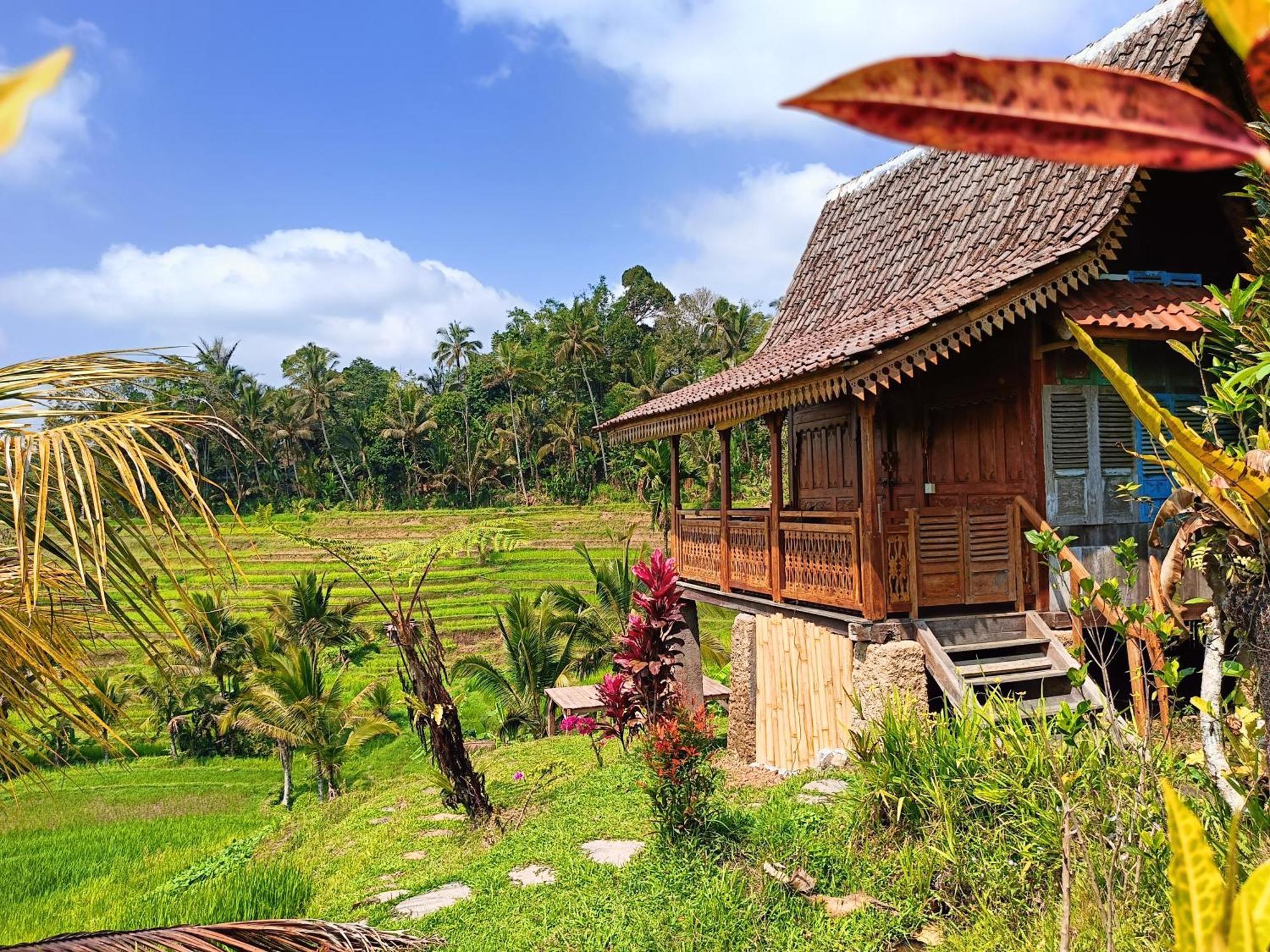 D'Ume Bendoel Homestay Jatiluwih Ngoại thất bức ảnh