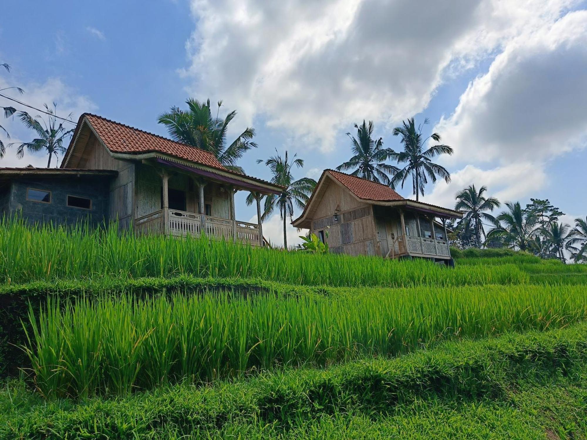 D'Ume Bendoel Homestay Jatiluwih Ngoại thất bức ảnh