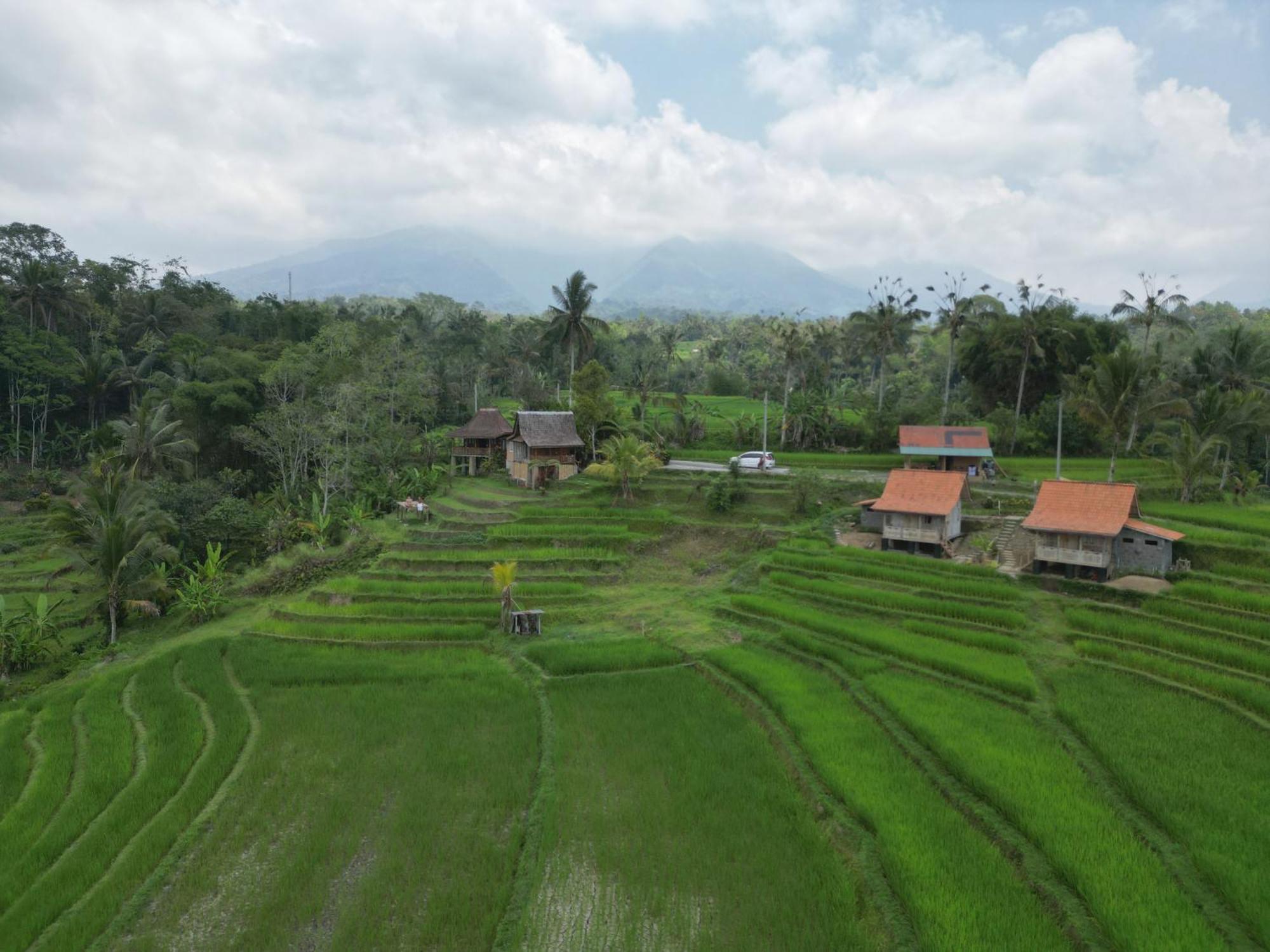 D'Ume Bendoel Homestay Jatiluwih Phòng bức ảnh
