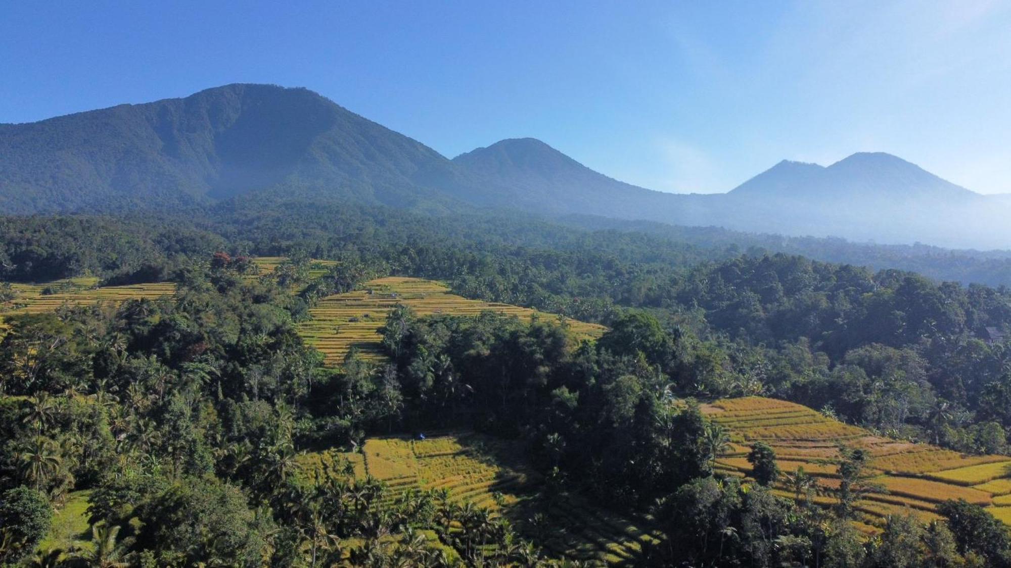 D'Ume Bendoel Homestay Jatiluwih Phòng bức ảnh