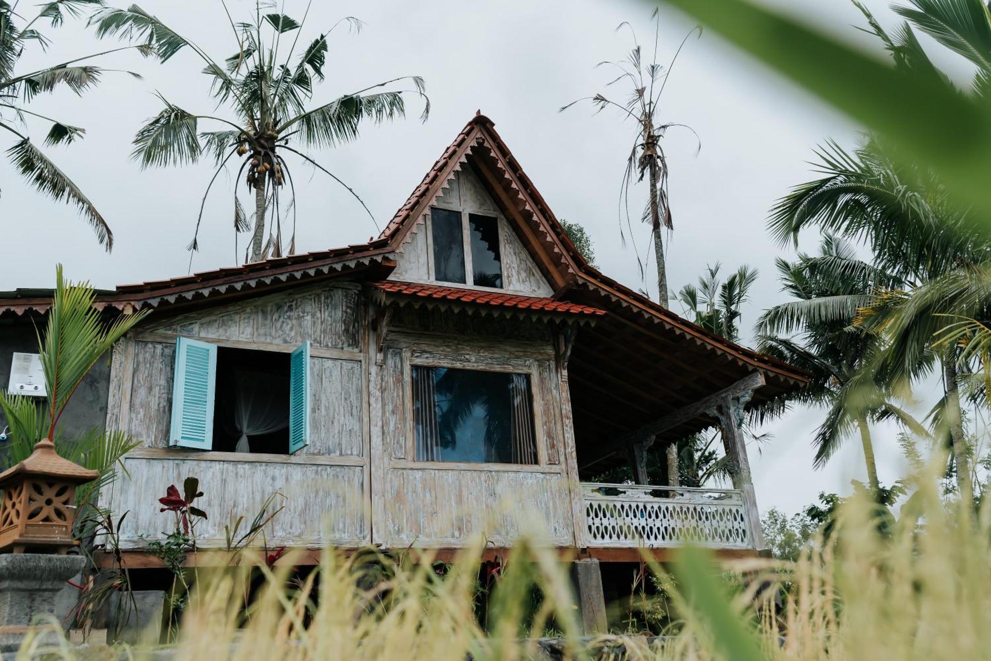 D'Ume Bendoel Homestay Jatiluwih Phòng bức ảnh