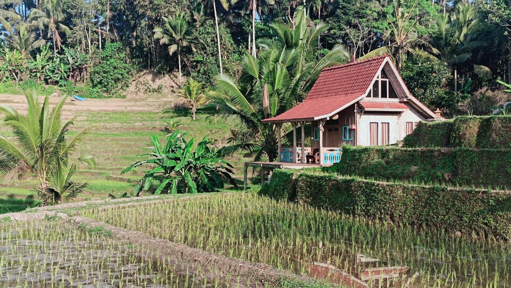 D'Ume Bendoel Homestay Jatiluwih Phòng bức ảnh