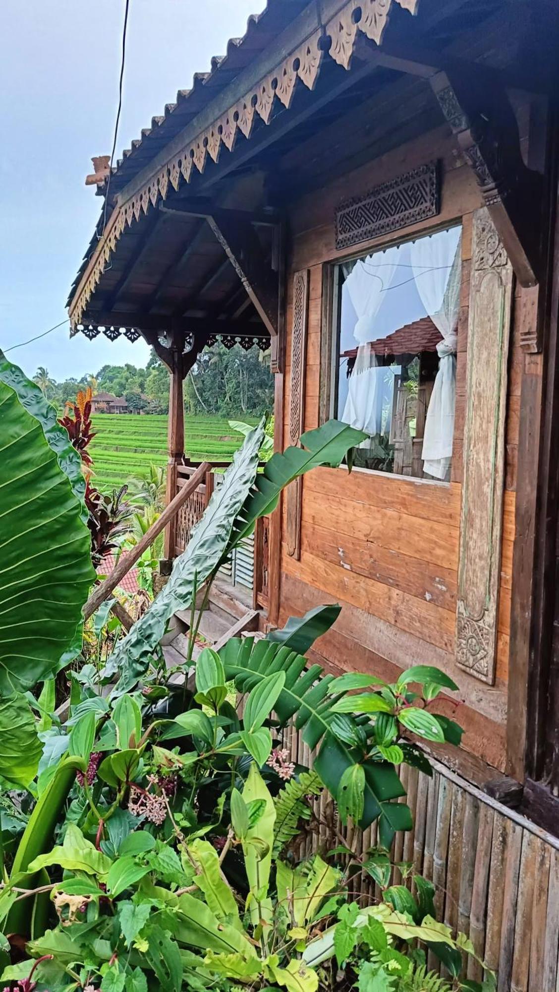 D'Ume Bendoel Homestay Jatiluwih Ngoại thất bức ảnh